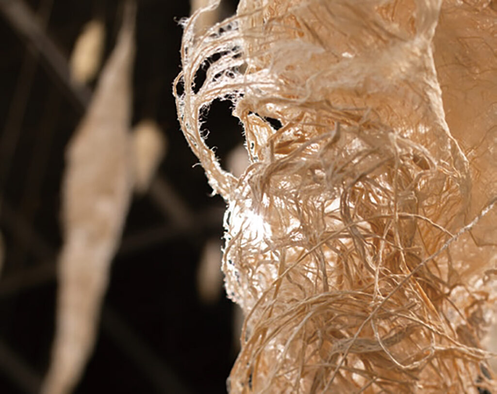 工藤亜美 これからのいけばなを考える会